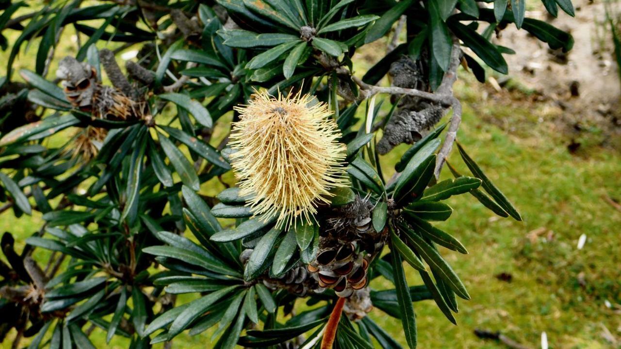 Apartamento 43 Degrees Bruny Island Adventure Bay Exterior foto